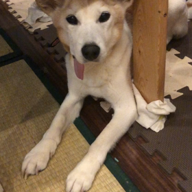 余命宣告✨の画像