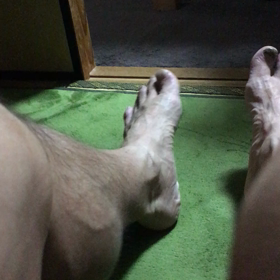 坐骨神経痛対策の画像