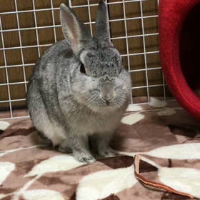 元気が一番(^-^)の画像