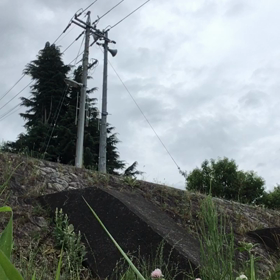 ハードテイルが怖いの画像