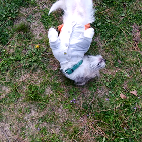 人が減ってる…の画像