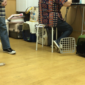 さすが上手いねぇ。の画像