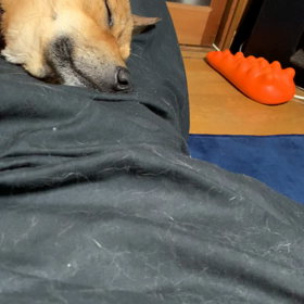 憲俊です。〜たびまる愛〜の画像