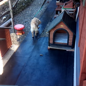 スイッチ☆☆☆(ﾉ≧∇≦)ﾉの画像