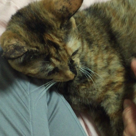 そぉ～っとの画像