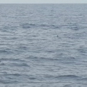 お休みはの画像