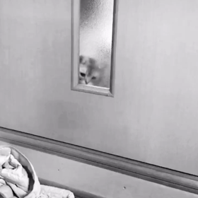 待ってませんけど。の画像