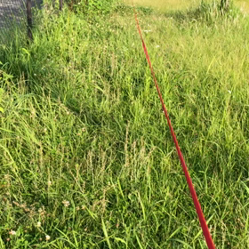 6月4日  走りの画像