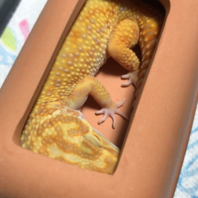 誰でしょう？笑の画像