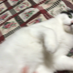 マッサージよりも…の画像