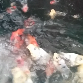 元気！！！の画像