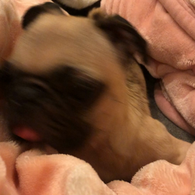 おでかけ❓の画像