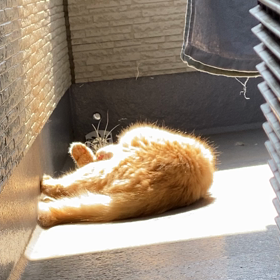 隠し撮りでも可愛いの画像