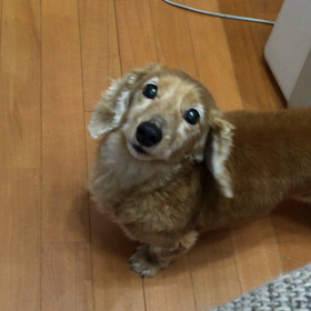 あーん！パッチが可愛すぎて仕事がはかどらなーい（爆笑）の画像