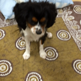 ■今日の嬉しかったこと■の画像