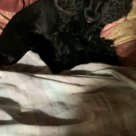 疲れた？　の画像