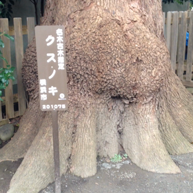 伊勢山 皇大神宮の画像