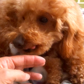 あ～(*゜Q゜*)仕方ないけどの画像