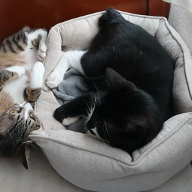 朝のふたり。の画像