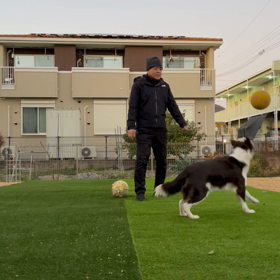 股関節のルーチンの画像