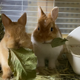 似たもの親子の画像