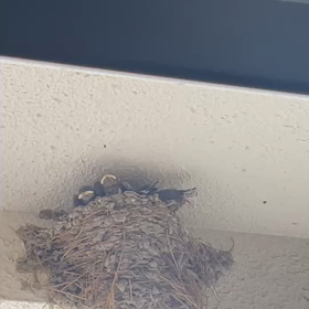 決定的瞬間！！！の画像