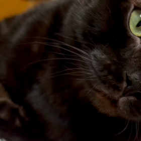 2022年2月27日Sundayの画像