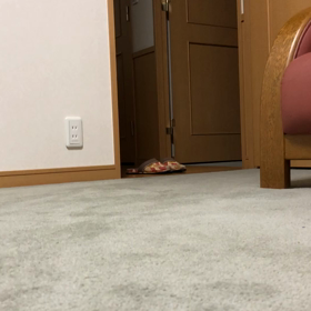 LINEでお誕生日おめでとう！ デール寝よ〜の画像