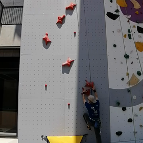 スピードクライミングの画像