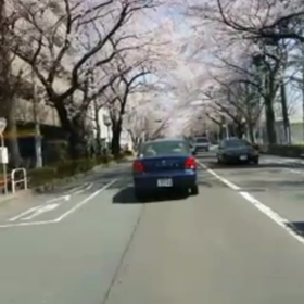 今日のルートの画像