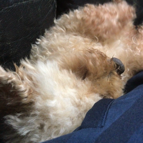 動画「もっともっと」の画像