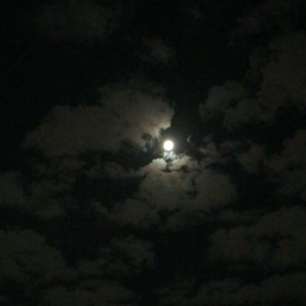 そうだ 仲秋の名月だの画像