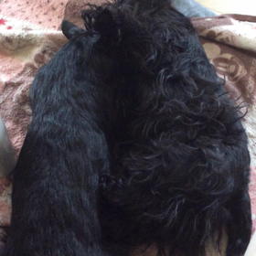 だらけた（音量注意）の画像