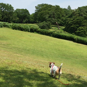 お父ちゃんの負けの画像