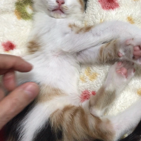 イタズラしてみました。の画像