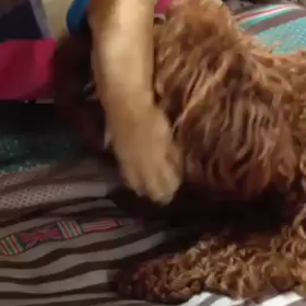 うざい女！の画像