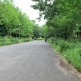 100m記録会 Bグループ④の画像