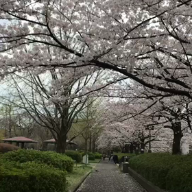 #錦糸町#中国パブ青葉の画像