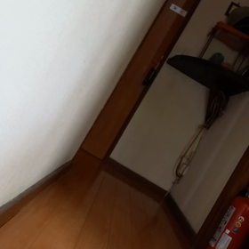 動画のテストの画像