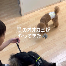 はじめましてのお友達の画像