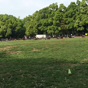 10色リレー折り返し地点⑤の画像