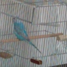 激しい…(--;)の画像