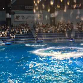 ジャンプの画像