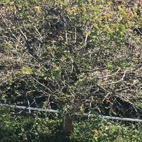 大荒れの風！！！の画像