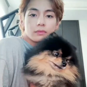 宇宙一の幸せモン〝ヨンタン〟の画像