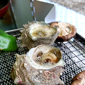 道志川にての画像