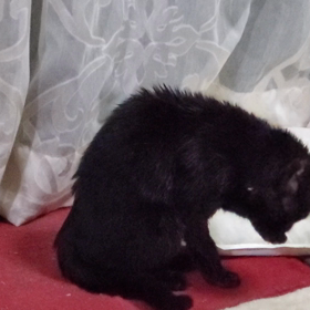 風呂上り？の画像