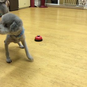 みかげ編。の画像