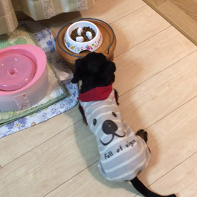 効果あり？の画像