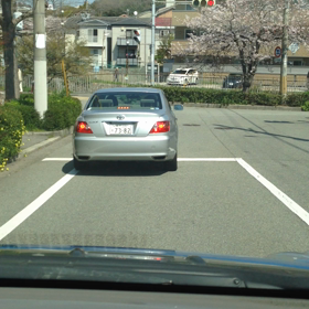 桜並木！の画像